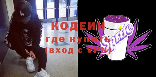 индика Алексин