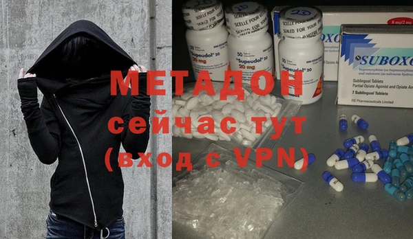 индика Алексин