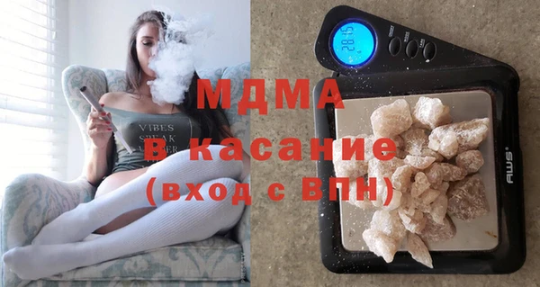 индика Алексин