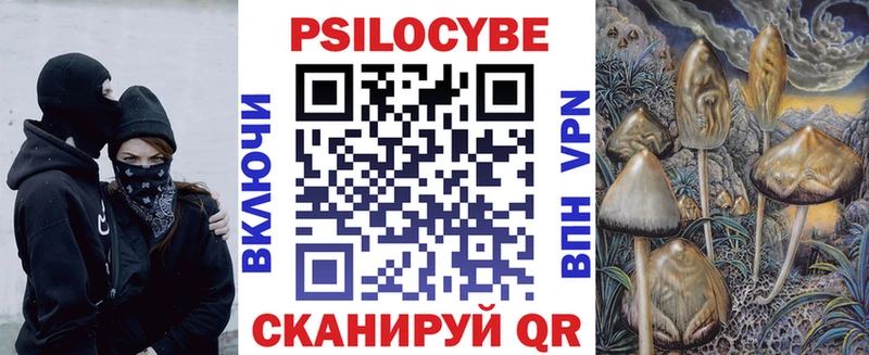 даркнет сайт  Любим  Псилоцибиновые грибы Psilocybe 
