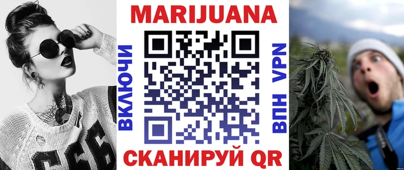 как найти наркотики  Любим  Шишки марихуана сатива 